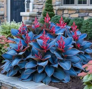 Хоста Грин Фог купить по цене от 669р. в интернет-магазине «Посадика» с доставкой почтой в в Краснотурьинске и по всей России – [изображение №1].