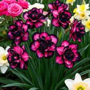 Нарцисс Золотая Корона купить по цене от 2000р. в интернет-магазине «Посадика» с доставкой почтой в в Краснотурьинске и по всей России – [изображение №1].