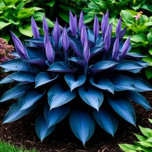 Хоста Сикрет Гров купить по цене от 570р. в интернет-магазине «Посадика» с доставкой почтой в в Краснотурьинске и по всей России – [изображение №1].