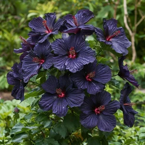 Гибискус Мэджик Момент купить по цене от 699р. в интернет-магазине «Посадика» с доставкой почтой в в Краснотурьинске и по всей России – [изображение №1].