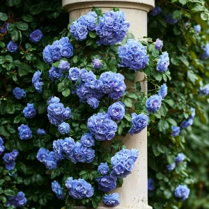 Роза плетистая Блю Перпл купить по цене от 540р. в интернет-магазине «Посадика» с доставкой почтой в в Краснотурьинске и по всей России – [изображение №1].